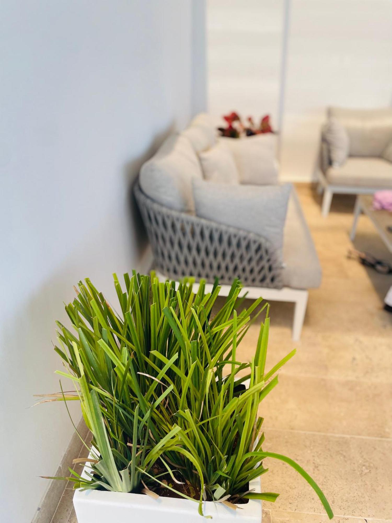 Serenada Playa del Carmen Ngoại thất bức ảnh